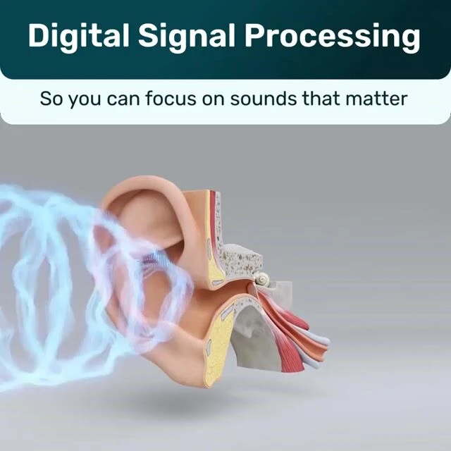OmniHear image